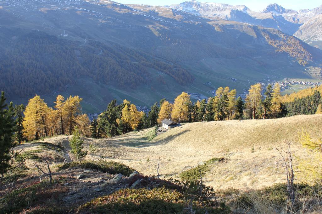 B&B Via Vai Livigno Bagian luar foto